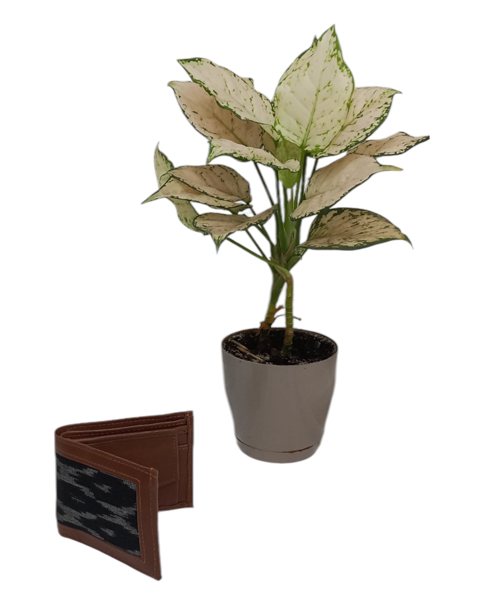 Unisex Cotton Wallet