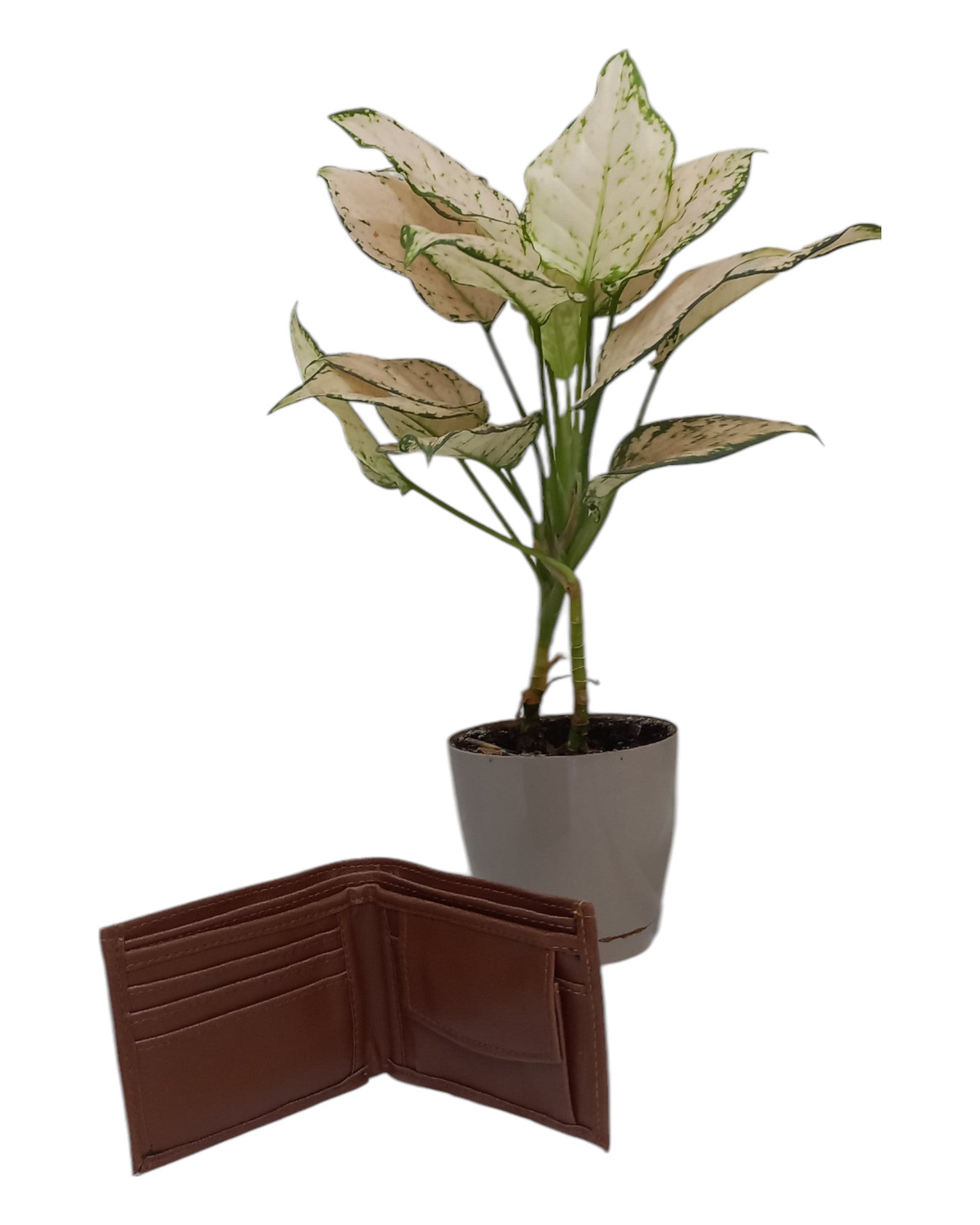 Unisex Cotton Wallet